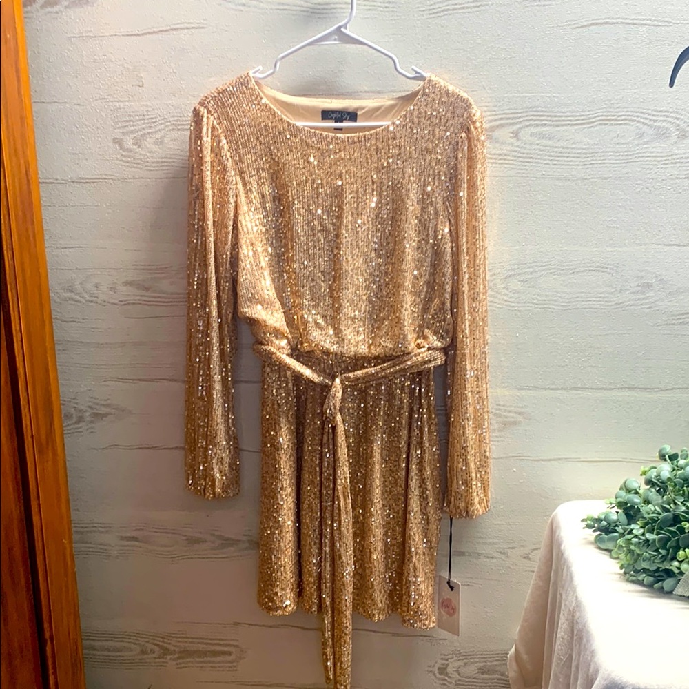 Gold Long Sleeve Sequin Dress